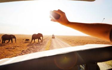 Photographing elephants crossing the road in Amboseli NP