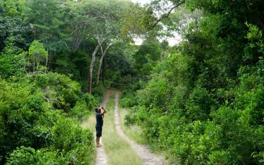 Bird watching in Arabuko Sokoke FR