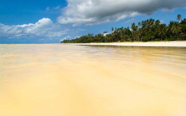 Low tide at Diani Beach