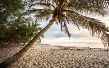Paradise white-sandy beach