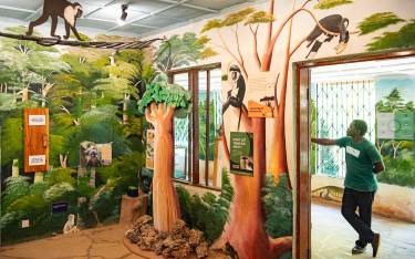 Kaya Kinondo Sacred Forest visitor center