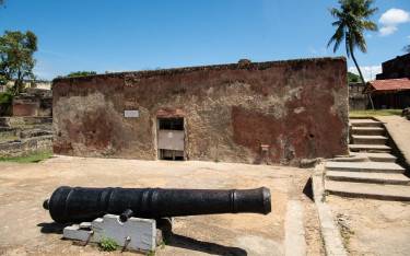 Cannon