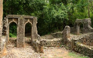 Gedi Ruins
