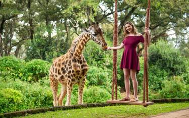 Feeding giraffes at Giraffe Manor at high tea