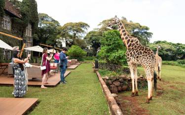 People photographing giraffes