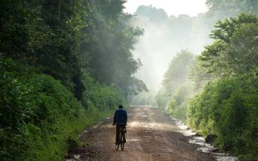 The main road running through the forest