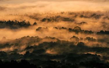 Sunrise over the forest shrouded in mist