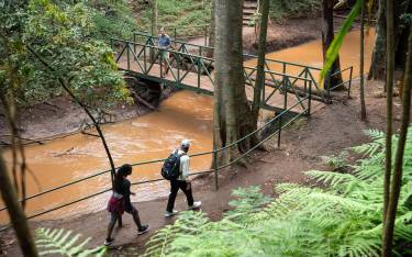 The Mau-Mau Trail along the Karura River