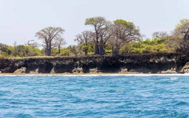 Wasini Island seen from the marine park