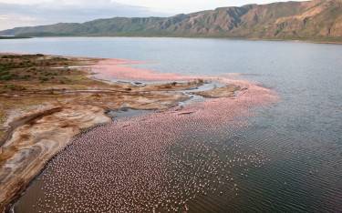 View over the lake and flamingos