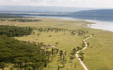 View over Lake Nakuru