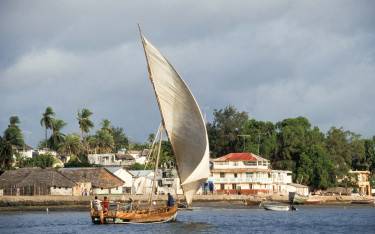 Dhow sailing past Lamu Town