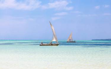 Swahili dhows sailing along the shore