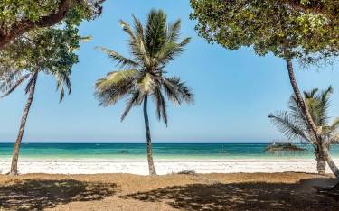Palm trees line the white sandy beach