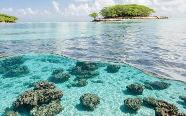 Malindi Marine National Park