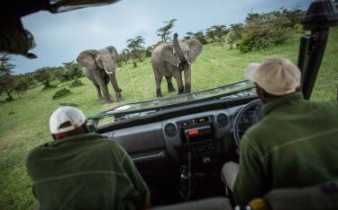 Safari vehicle with elephants in Mara Naboisho Conservancy