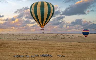 Balloon floating over a large herd of zebras