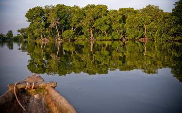 Kayaking in Mida Creek
