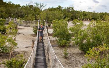 Bird watching from a boardwalk in Mida Creek