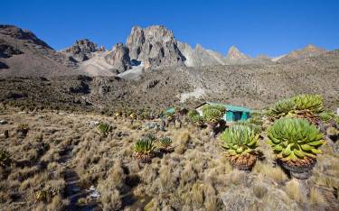 Mountain hut in the Afro-alpine zone