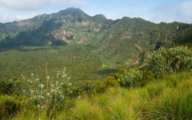 View of the crater and the summit