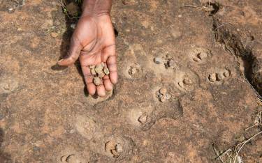 Ancient bao game at Hyrax Hill Prehistoric Site