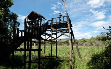 Platform overlooking the swamp