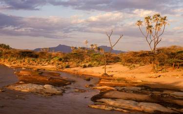 The Ewaso Nyiro River