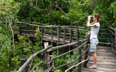 Birdwatcher at Shimba Lodge