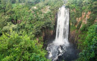 Thomson's Falls
