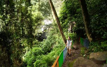 Visitor climbing the stairs from the base of Thomson's Falls