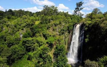 Thomson's Falls