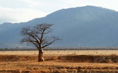 Train on the railway line crossing Tsavo East National Park