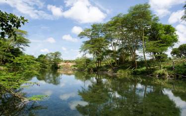 Mzima Springs