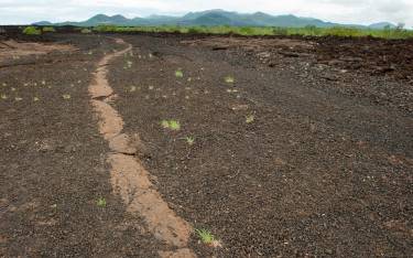 Shetani lava flow