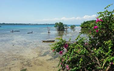 Island shore