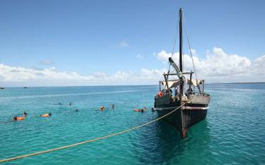 Snorkeling next to a traditional dhow near Wasini Island