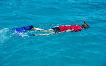 Snorkeling the coral reef off Kisite