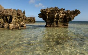 Coral outcrops in the sea