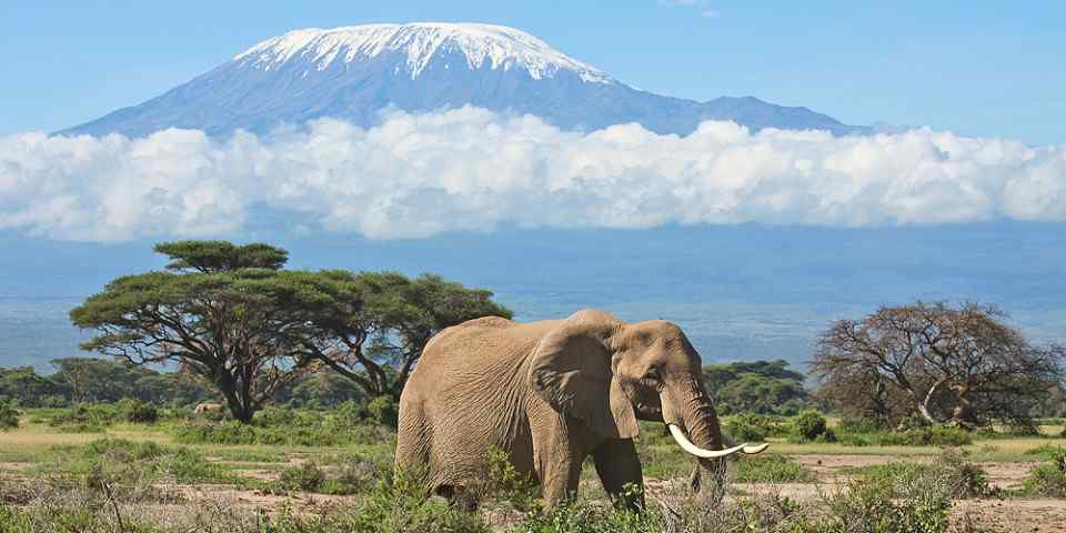 7-Day Amboseli, Tsavo West and Tsavo East Tour