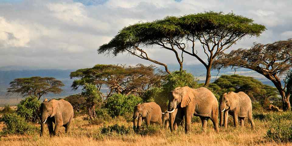 6-Day Kilimajaro View Budget Group Joining Safari