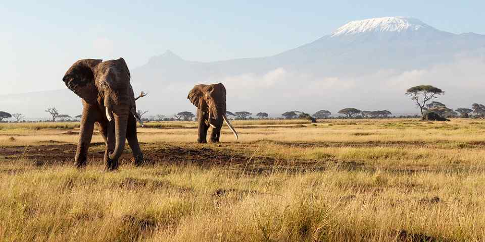 4-Day Amboseli NP, Tsavo East/West and Mombasa Beach