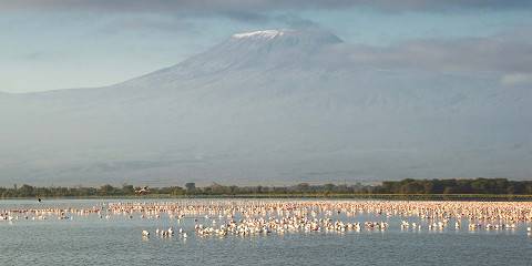 10-Day Inspire & Explore - Kenya Great Migration Trip