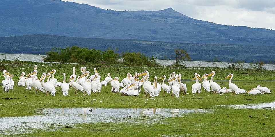 8-Day Fascinating Memorable Private Luxury Bush Safari