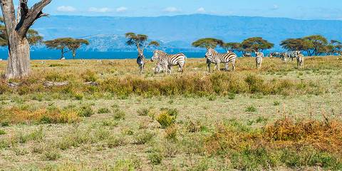 1-Day Crescents Island and Game Sanctuary in Naivasha