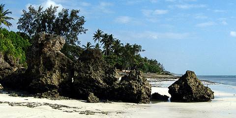 dm tours diani beach