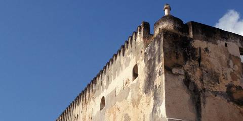 1-Day Mombasa Private City Tour & a Visit to Haller Park