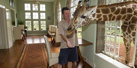 1-Day Nairobinational Park/City/Giraffecenter Luxurytour