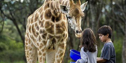 Spectacular Private Safari in Kenya