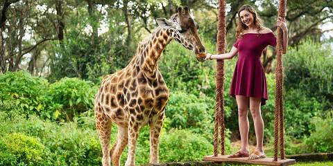 8-Day Touch of Wilderness Kenya Parks Mid-Range Safari